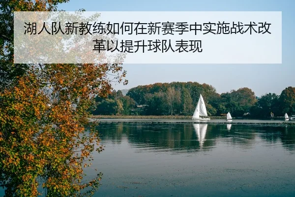 img_1788505295835_823_1_736.jpg